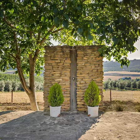 Bed & Breakfast Naranja